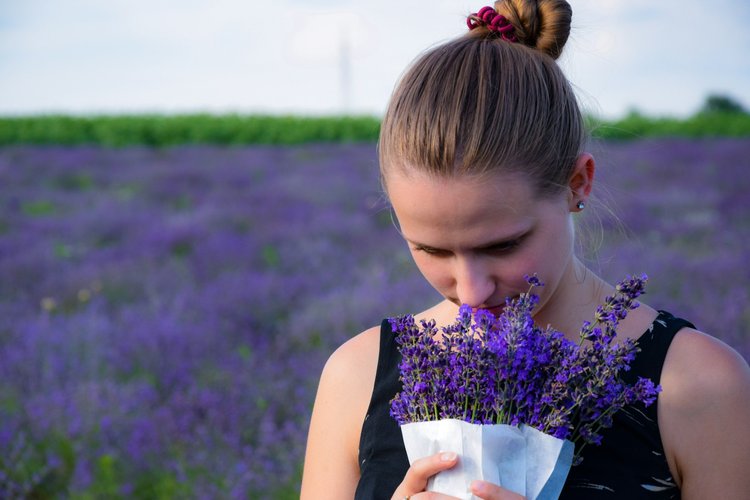 Young woman smelling a bouquet of lavender flowers in a vibrant lavender field, showcasing the beauty of nature and the joy of floral scents.